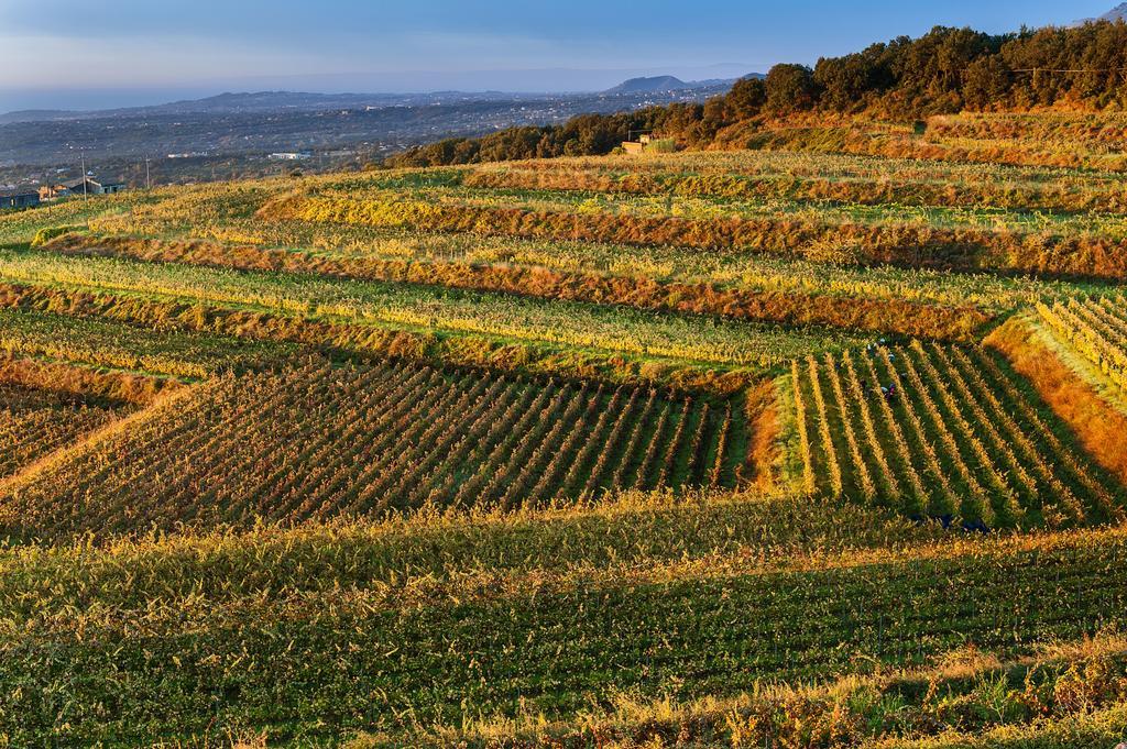 Wine Resort Villagrande Міло Екстер'єр фото