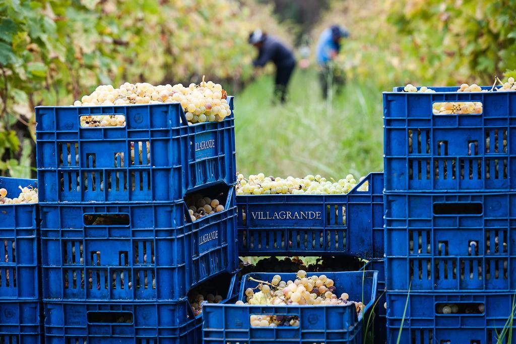 Wine Resort Villagrande Міло Екстер'єр фото