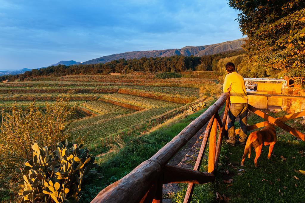 Wine Resort Villagrande Міло Екстер'єр фото